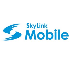 Post Thumbnail of エレコム、ドコモ回線を利用した MVNO サービス「SkyLinkMobile」開始、月額780円からのデータ SIM カード発売