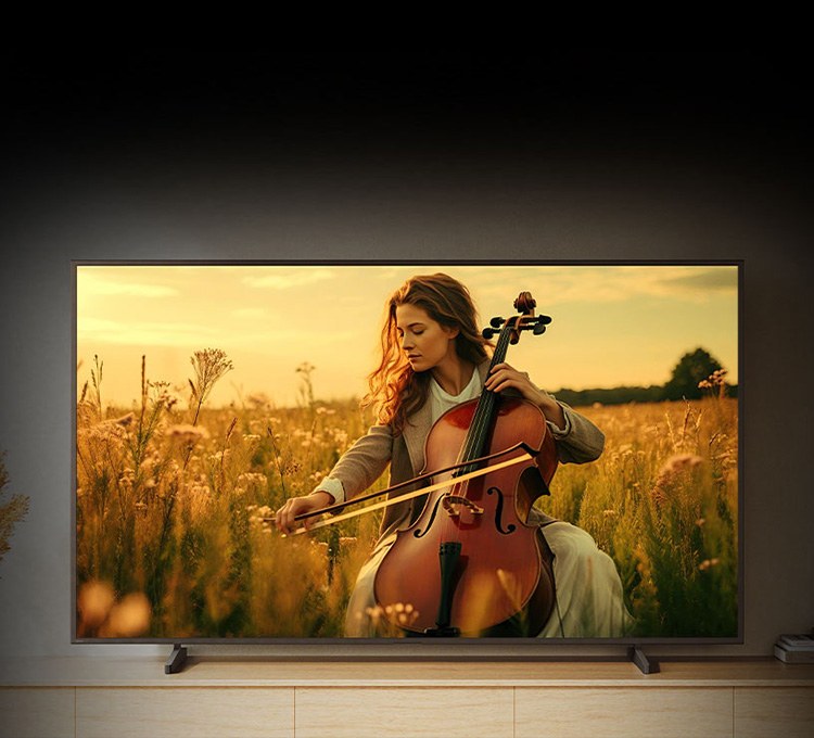BRAVIA 5