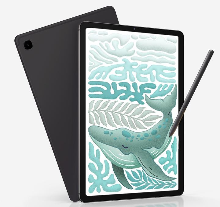 Galaxy Tab S6 Lite (2024)