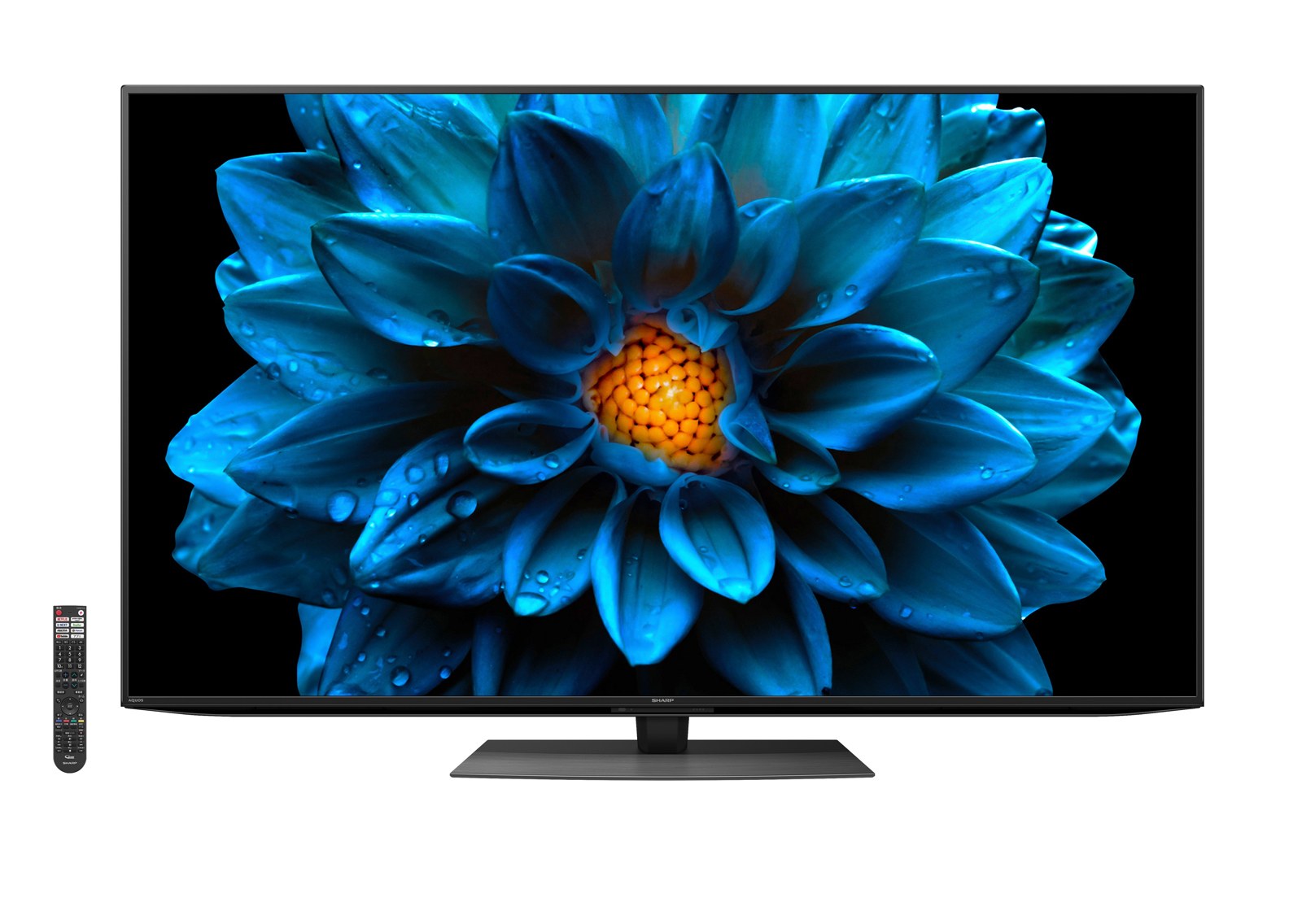 AQUOS 4K DN1
