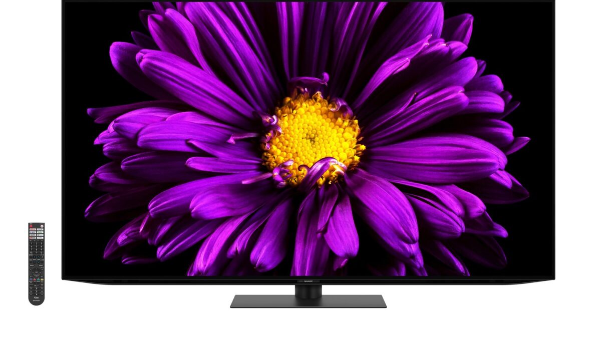 AQUOS OLED DQ1