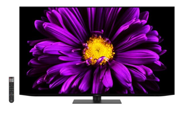 AQUOS OLED DQ1