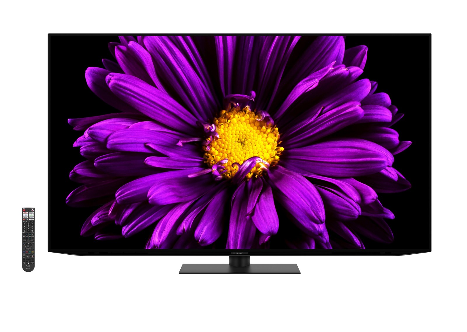 AQUOS OLED DQ1